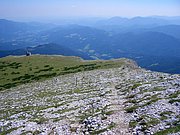 CIMG6864.JPG