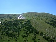 CIMG6883.JPG