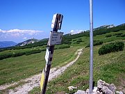 CIMG6891.JPG