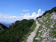 CIMG6905.JPG
