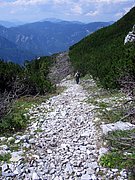 CIMG6906.JPG