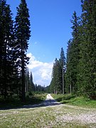 CIMG6910.JPG