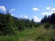 CIMG6914.JPG
