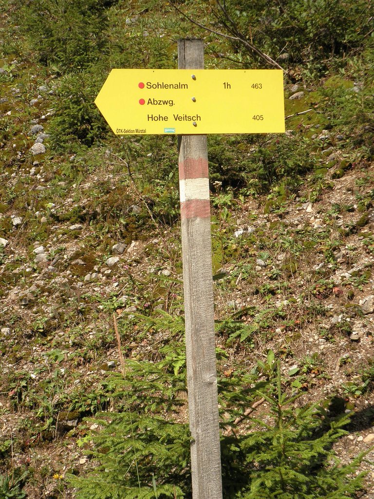 P9050002.JPG