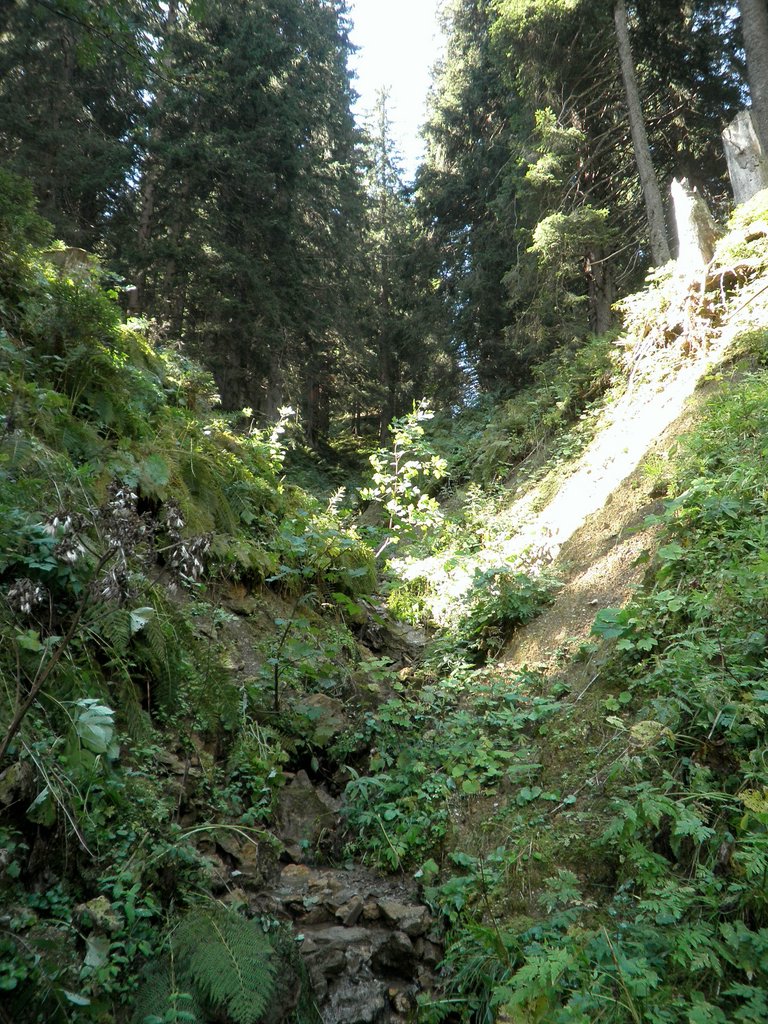 P9050010.JPG