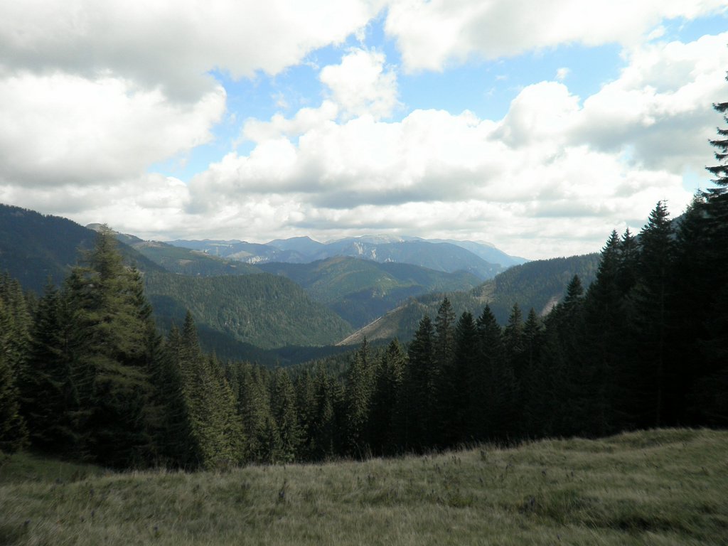 P9050013.JPG