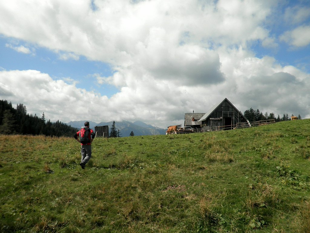 P9050014.JPG