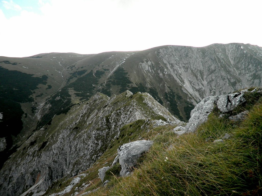 P9050039.JPG