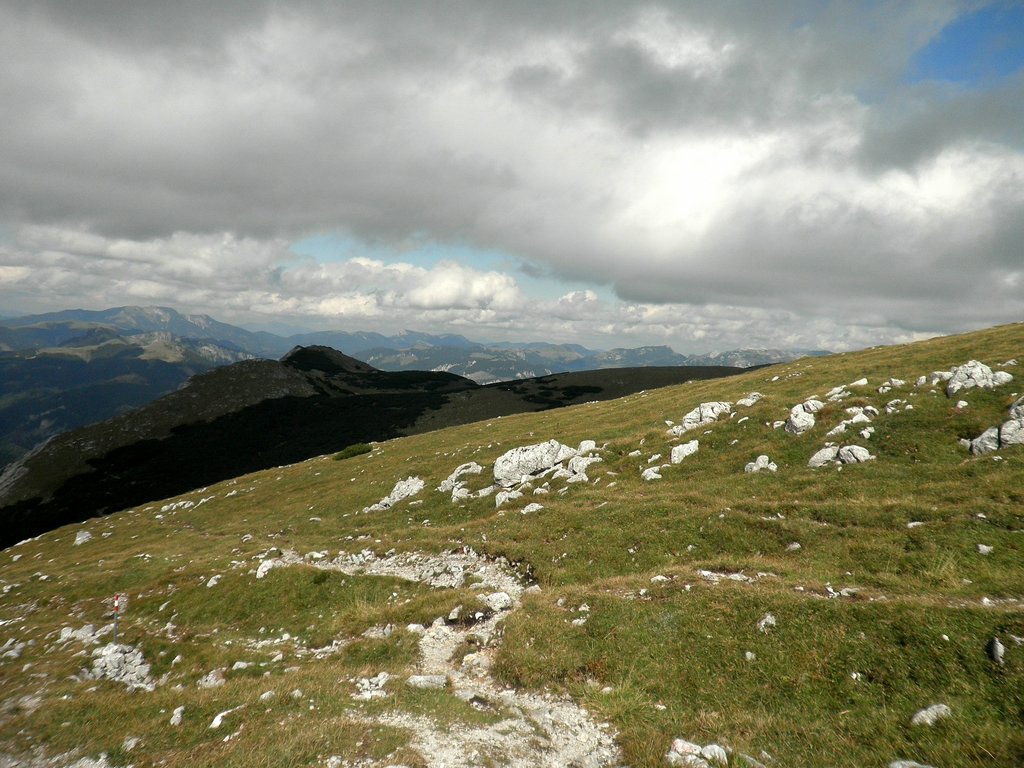 P9050048.JPG