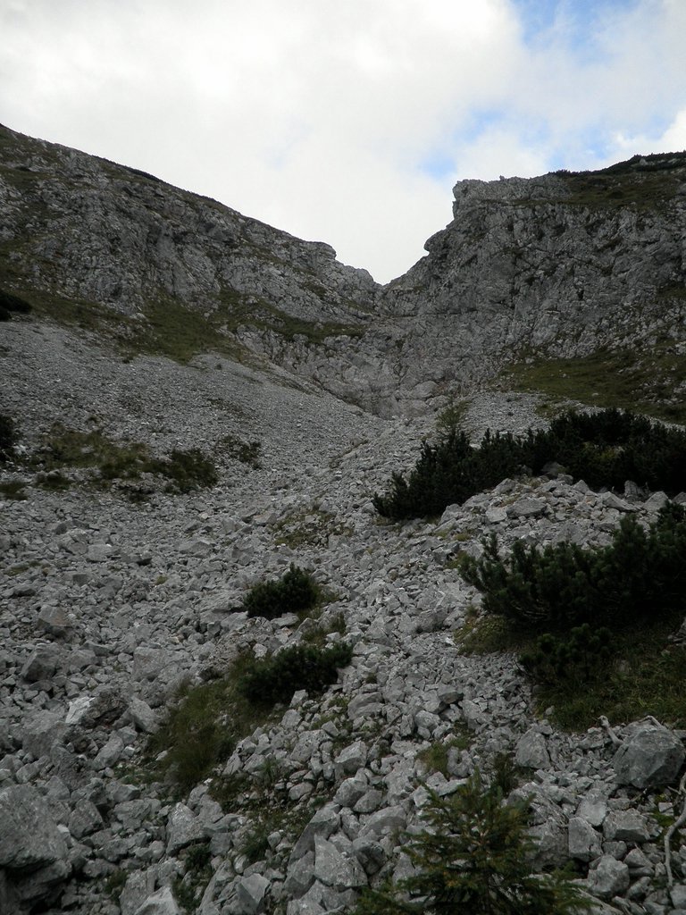 P9050065.JPG