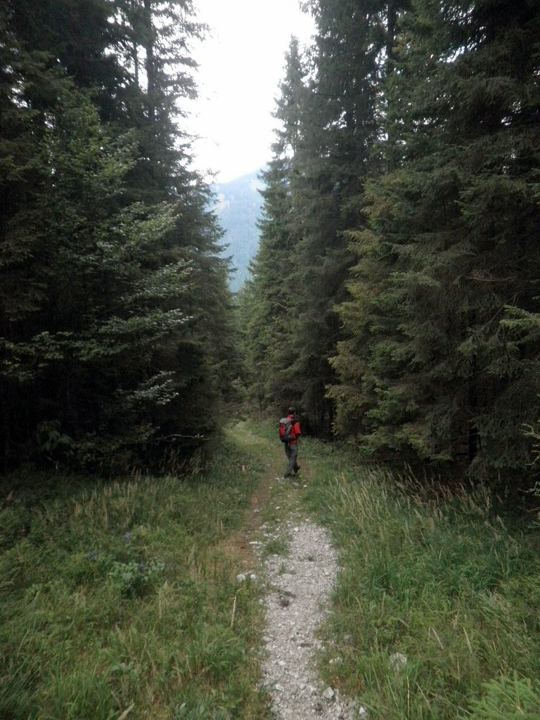 P9050070.JPG