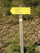 P9050002.JPG