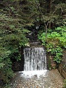 P9050004.JPG