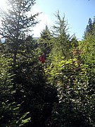 P9050008.JPG