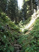 P9050010.JPG
