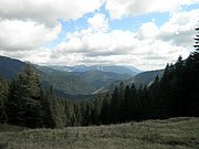 P9050013.JPG
