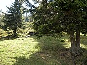 P9050019.JPG