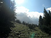 P9050021.JPG