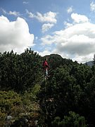 P9050025.JPG