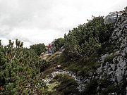 P9050030.JPG