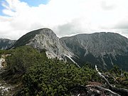 P9050034.JPG