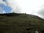 P9050036.JPG