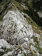 P9050040.JPG