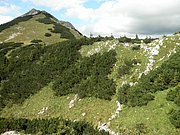 P9050045.JPG