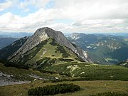 P9050046.JPG