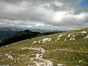 P9050048.JPG