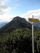 P9050063.JPG