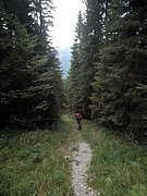 P9050070.JPG