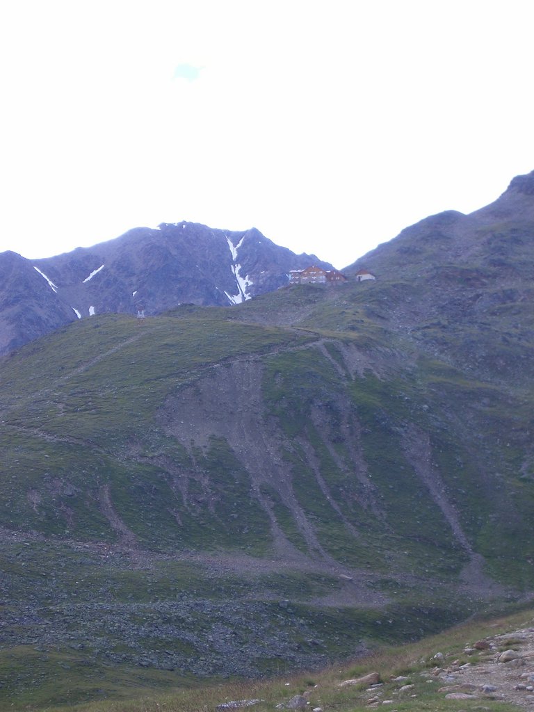 CIMG1246.JPG