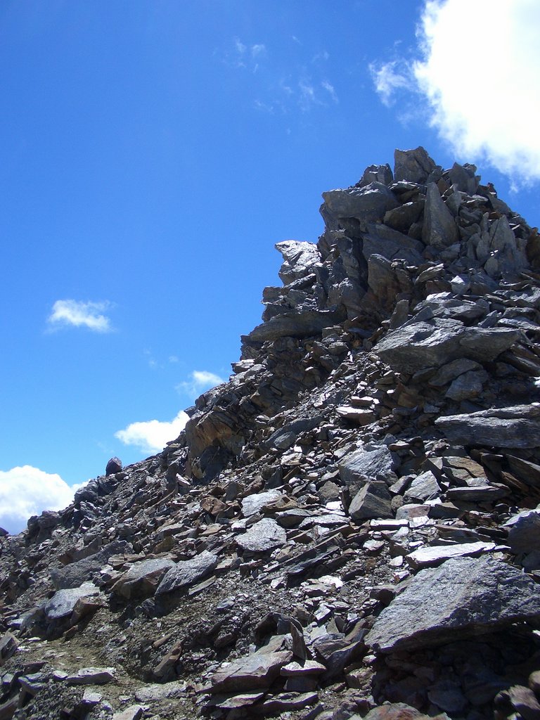 CIMG1394.JPG