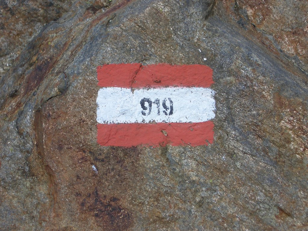 CIMG1429.JPG