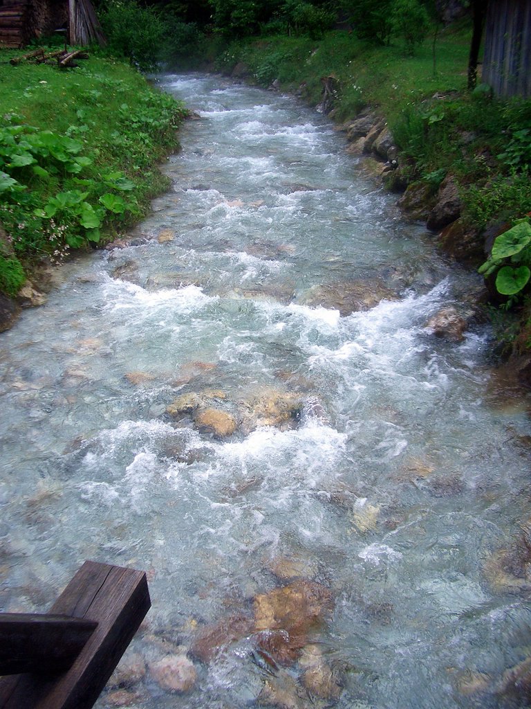 CIMG5881.JPG