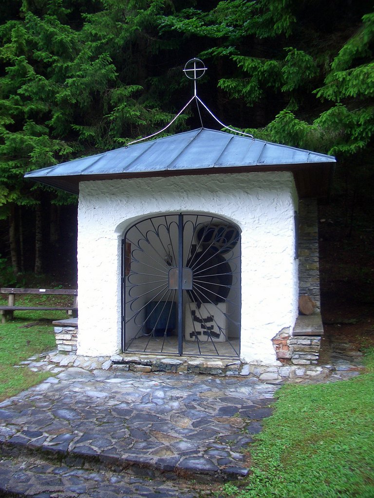 CIMG5882.JPG