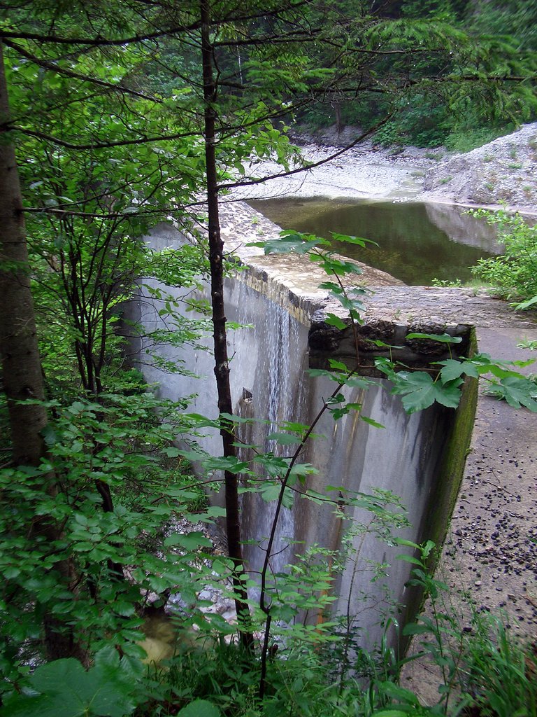 CIMG5884.JPG
