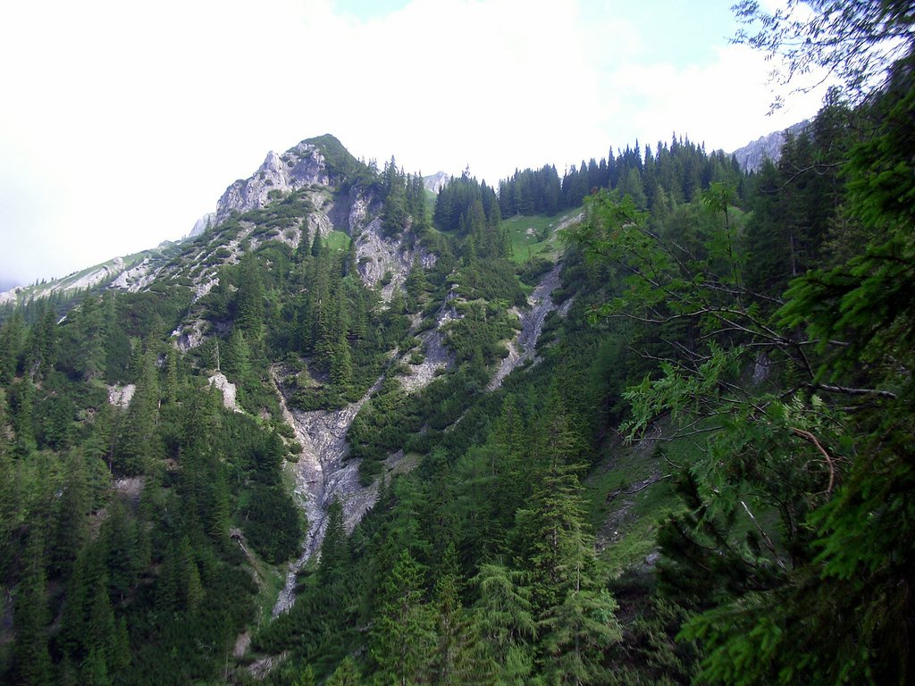 CIMG5898.JPG