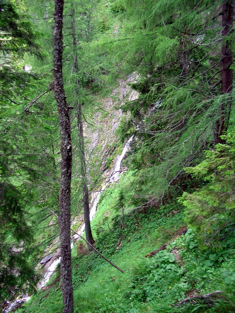 CIMG5899.JPG