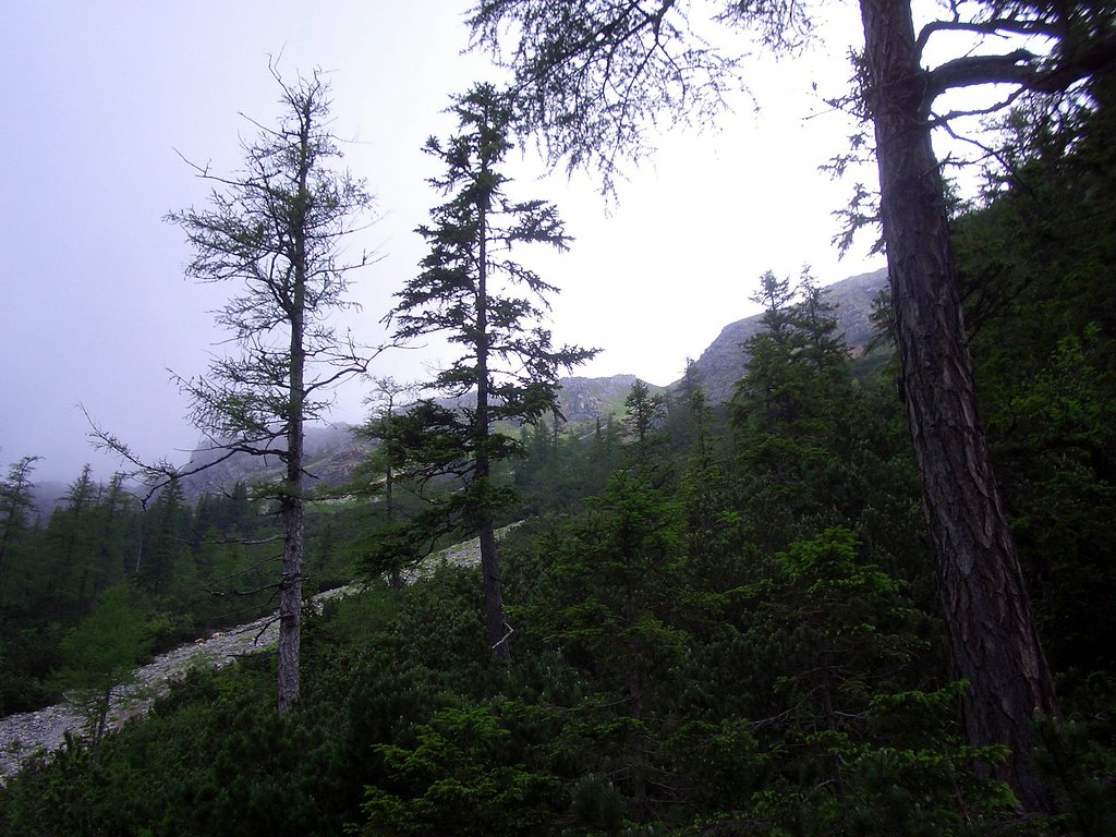 CIMG5905.JPG