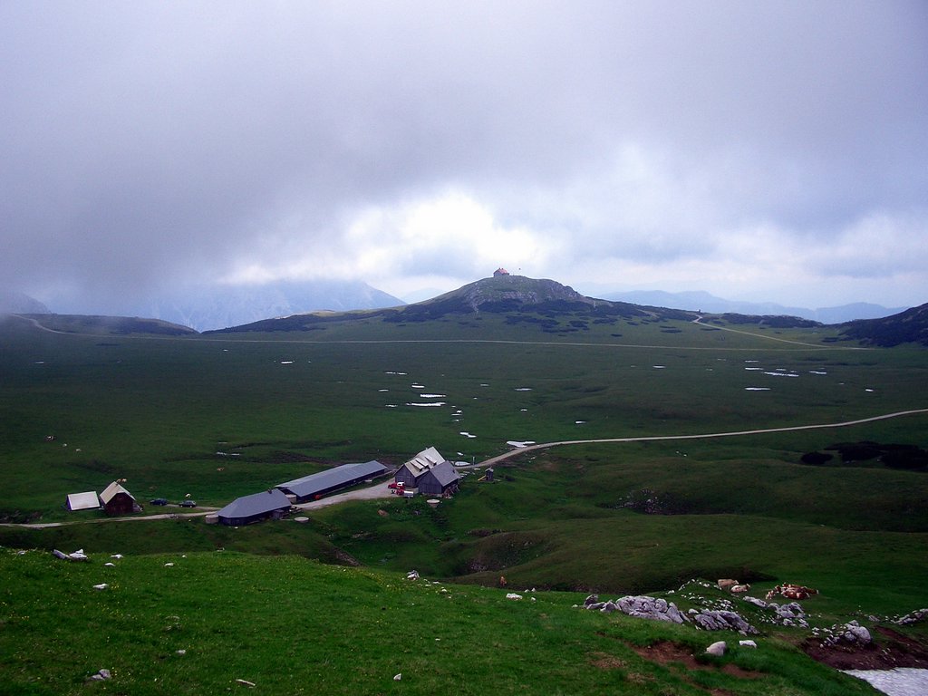 CIMG5936.JPG