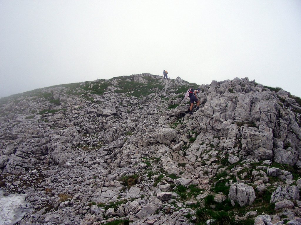 CIMG5940.JPG