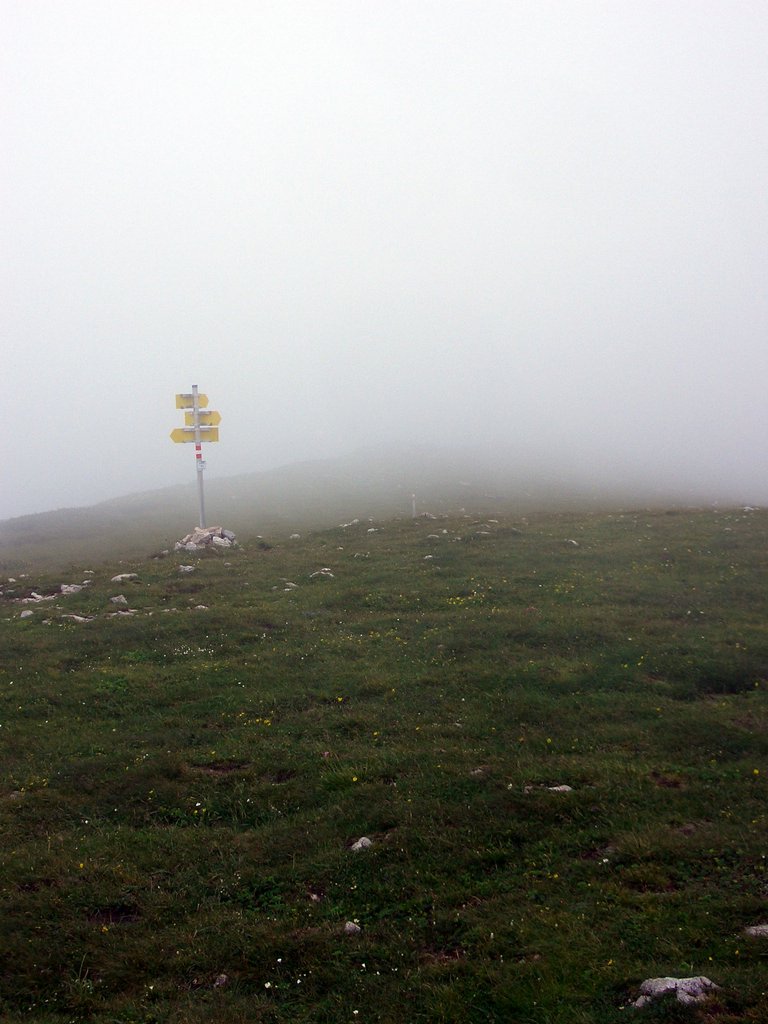 CIMG5944.JPG