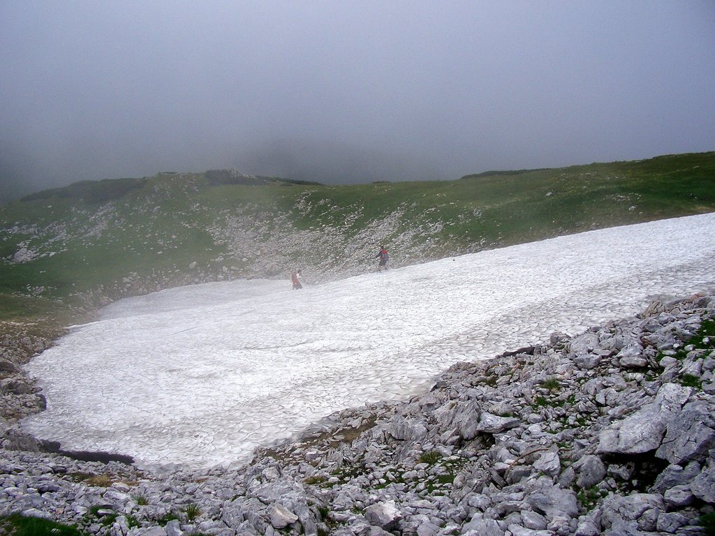 CIMG5954.JPG