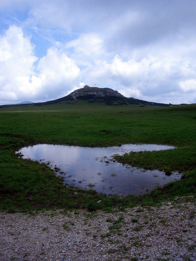 CIMG5973.JPG