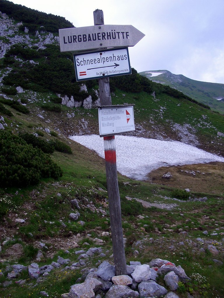 CIMG5980.JPG