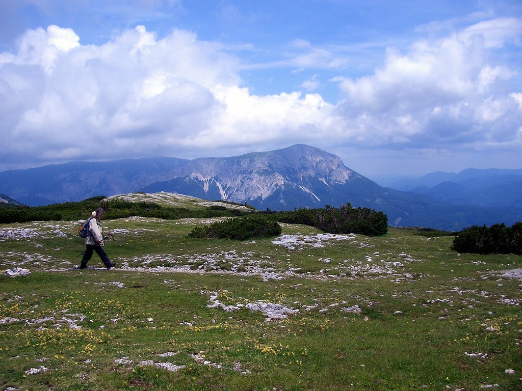 CIMG5986.JPG