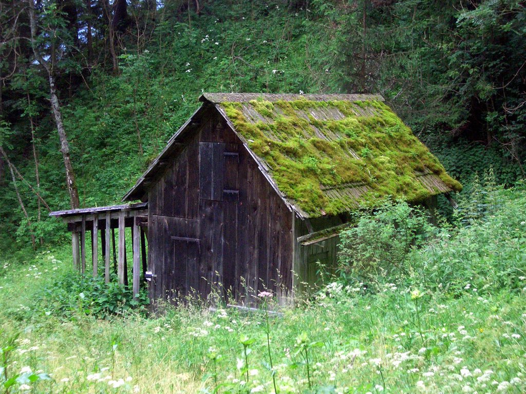 CIMG6001.JPG
