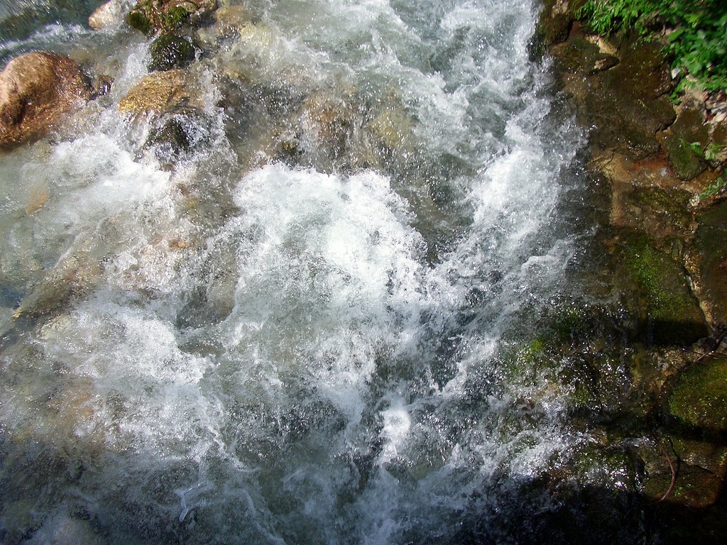 CIMG6015.JPG